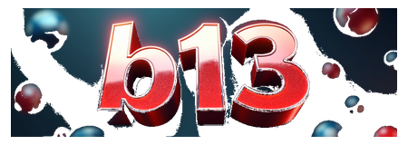 b13 logo